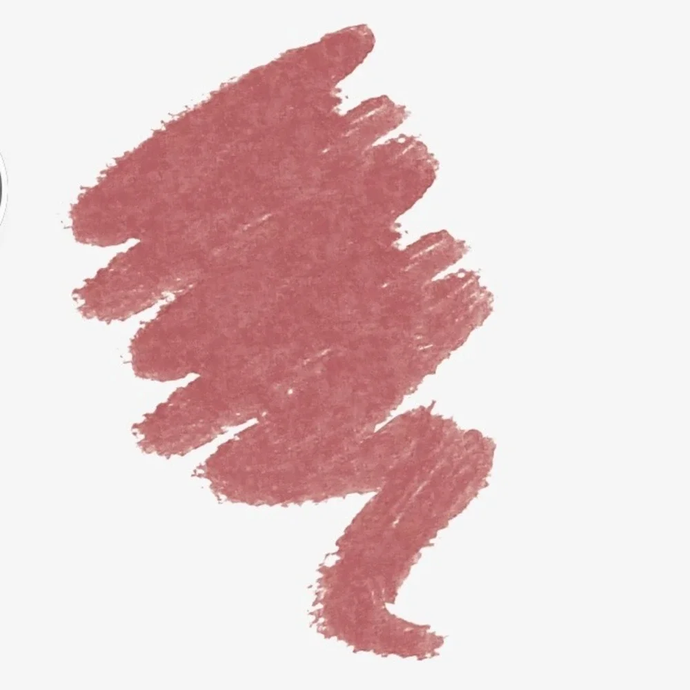 Milani Matte Pink Nude Lip Kit Color Fetish Lipstick Color Statement Lip Liner